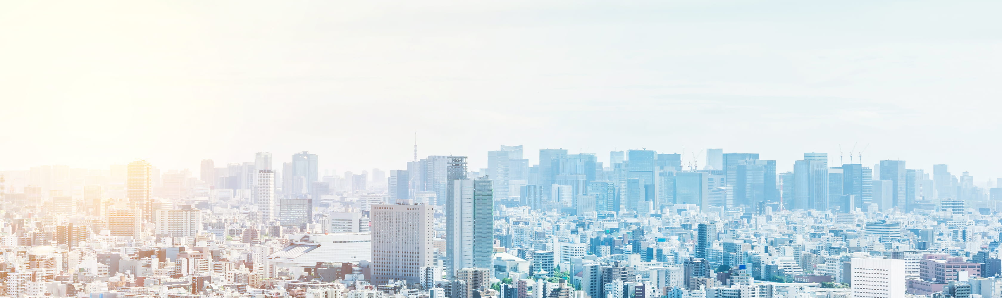 会社概要 COMPANY